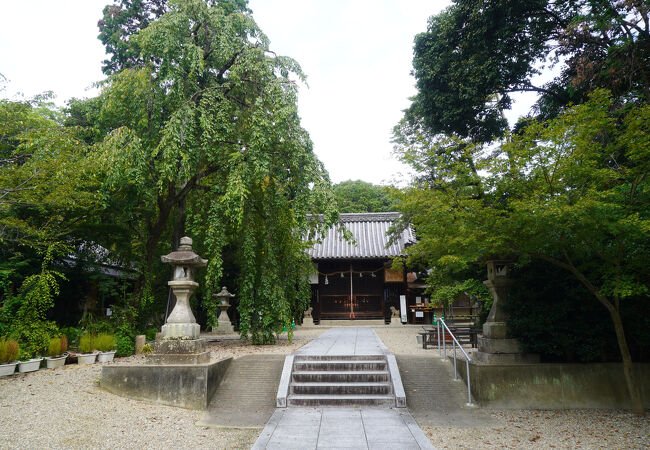 ⛩️ 가타노 아마쓰카미노야시로 (가타노 덴진 신사) 이미지 1